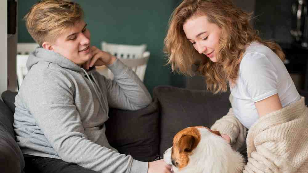At Home Euthanasia for Pets Near Me: A Compassionate Guide for Pet Owners