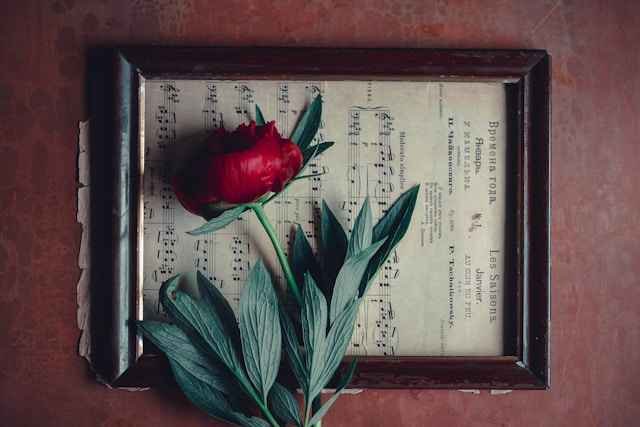 Carry Me Home: Exploring the Meaning, Music, and Emotional Depth