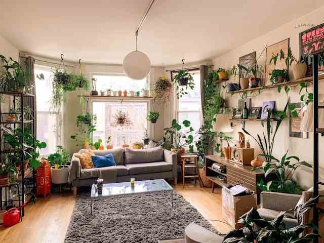 Discover Judy Maxwell Home: Chicago’s Quirky Gift Shop Owned by Joan Cusack