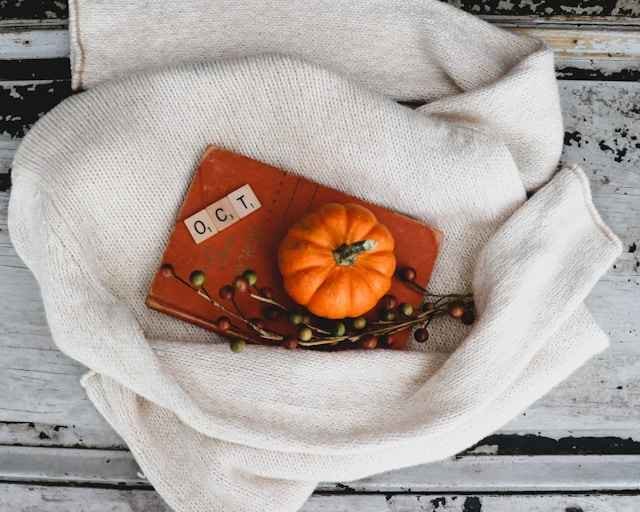 Home Depot Thanksgiving: Ultimate Guide to Décor, Deals, and Hosting