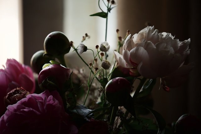 Swearingen Funeral Home Seminole Obituaries Honoring Lives, Connecting Community