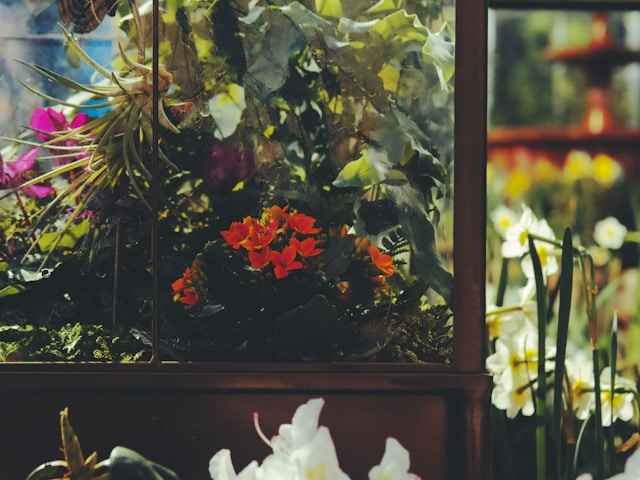 Why Leverington Funeral Home of the Northern Hills Obituaries Matter