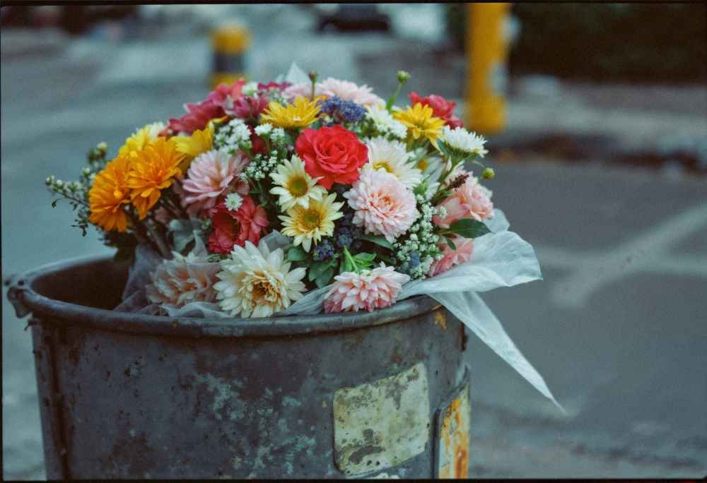 Bland Reid Funeral Home Obituaries: Honoring Farmville Lives